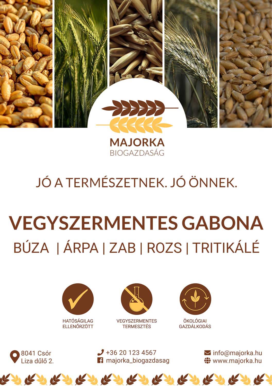 Német Lilla grafikus képzés végén leadott vizsgaremek 