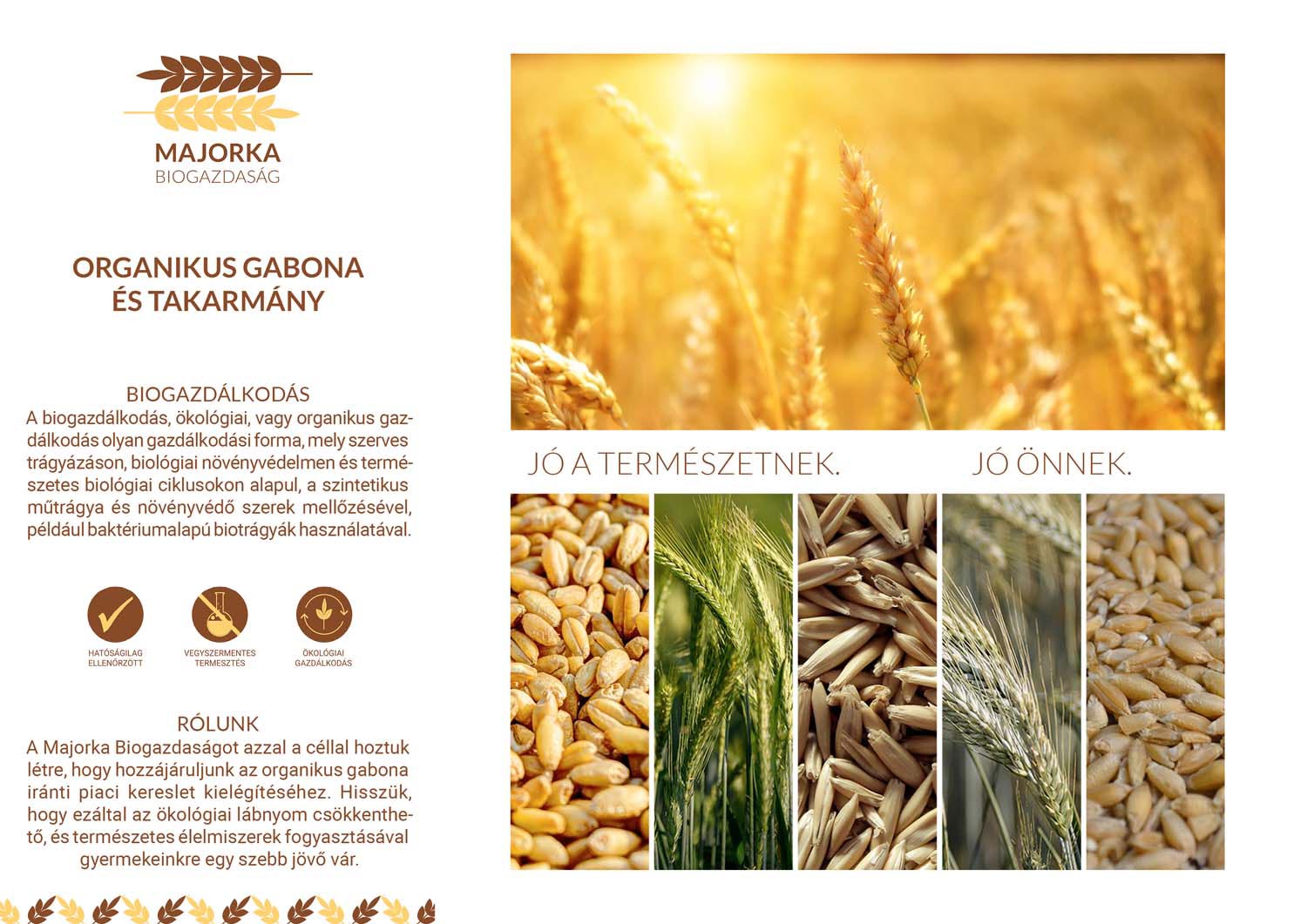 Német Lilla grafikus képzés végén leadott vizsgaremek 