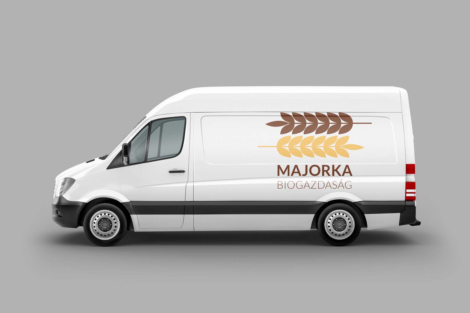 Német Lilla grafikus képzés végén leadott vizsgaremek 