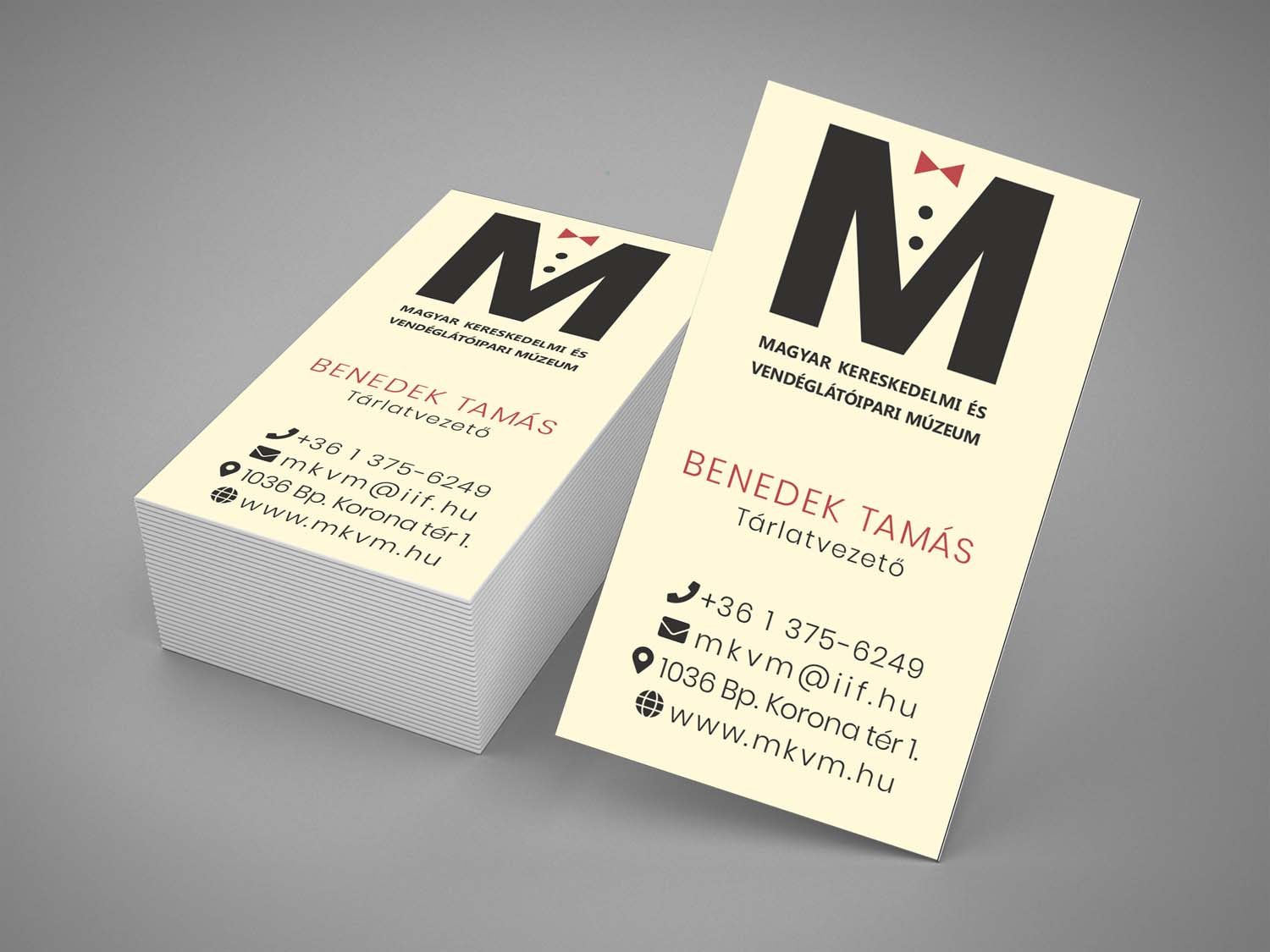 Pap Anita grafikus képzés végén leadott portfólió 