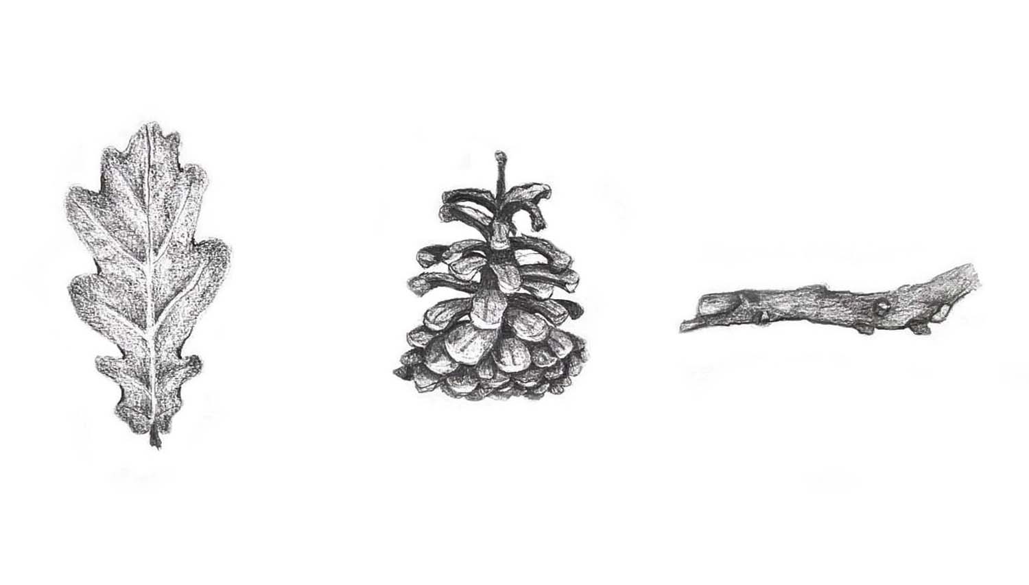 Pap Fruzsina grafikus képzés végén leadott portfólió 