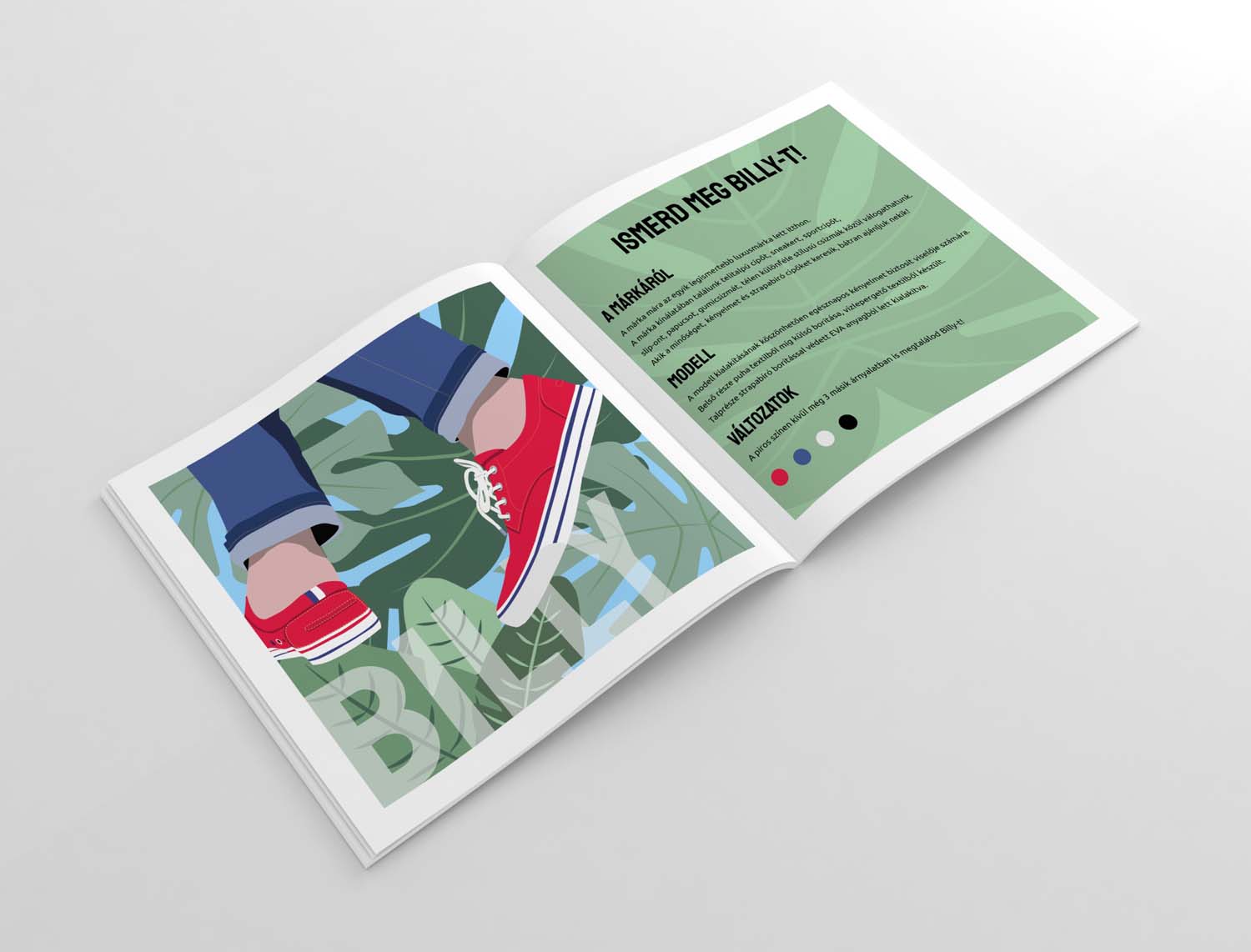 Pap Fruzsina grafikus képzés végén leadott portfólió 