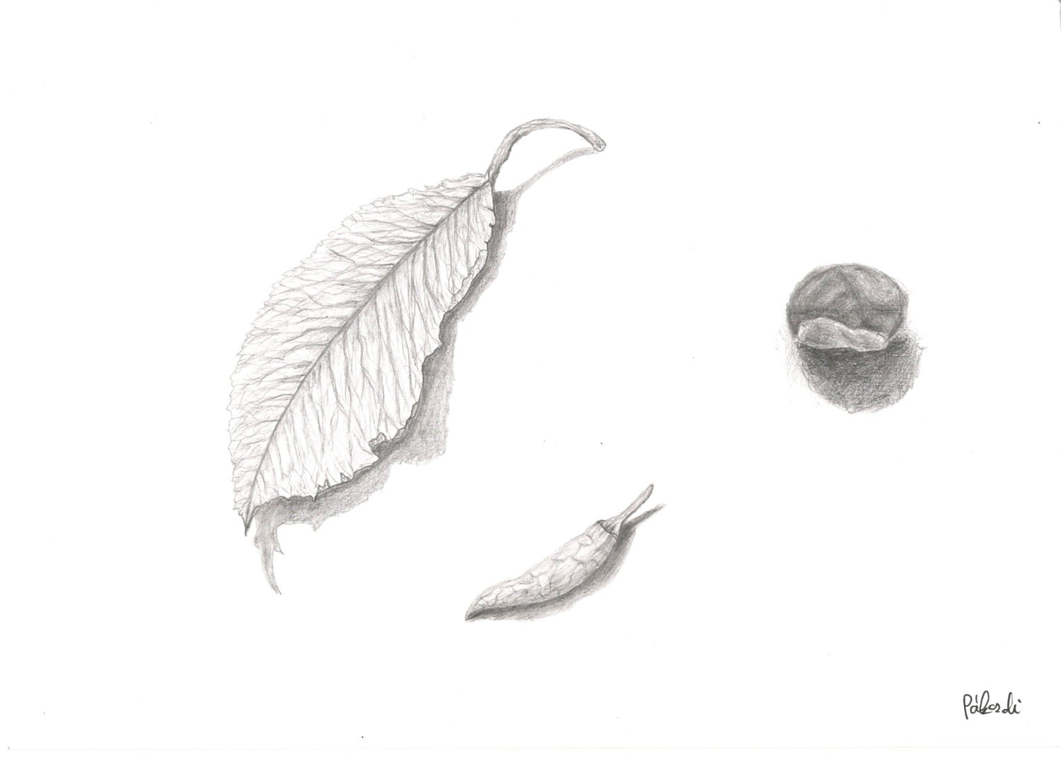 Pákozdi Gergely grafikus képzés végén leadott portfólió 