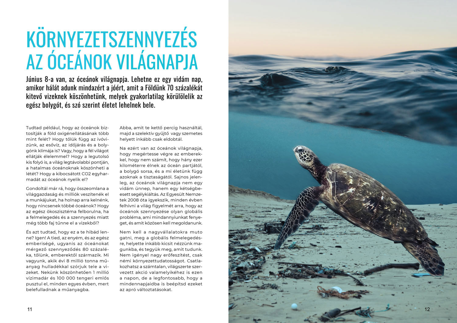 Pákozdi Gergely grafikus képzés végén leadott portfólió 