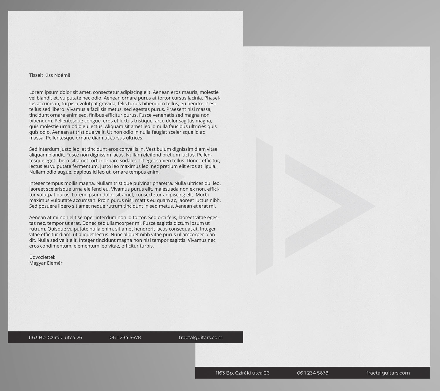 Pákozdi Gergely grafikus képzés végén leadott vizsgaremek 