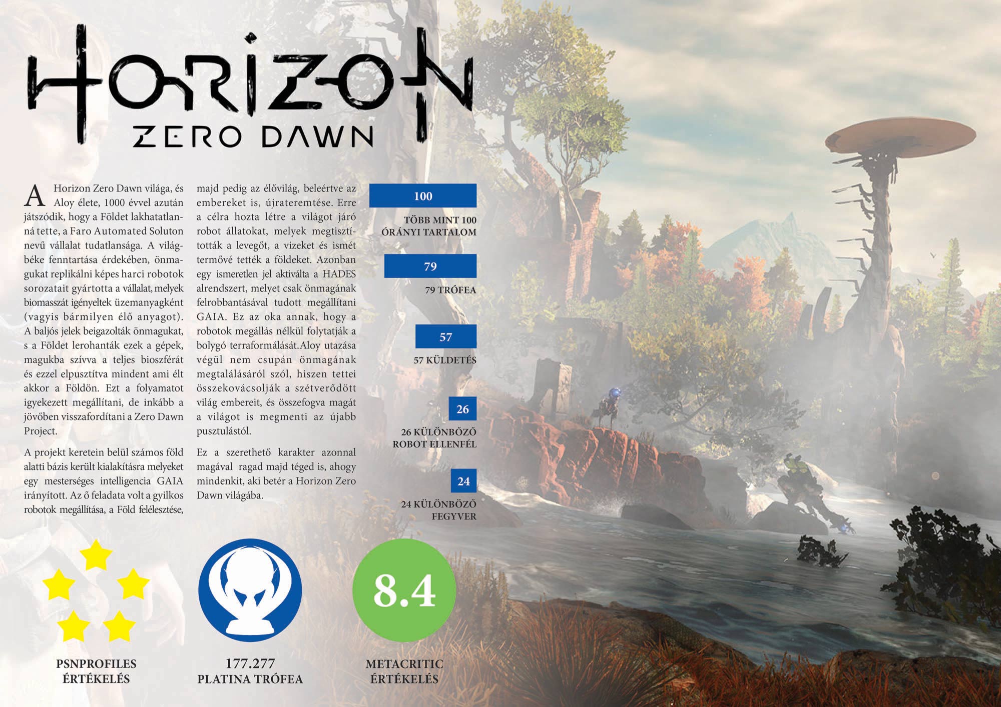 Gombkötő Nikolett  grafikus képzés végén leadott portfólió 