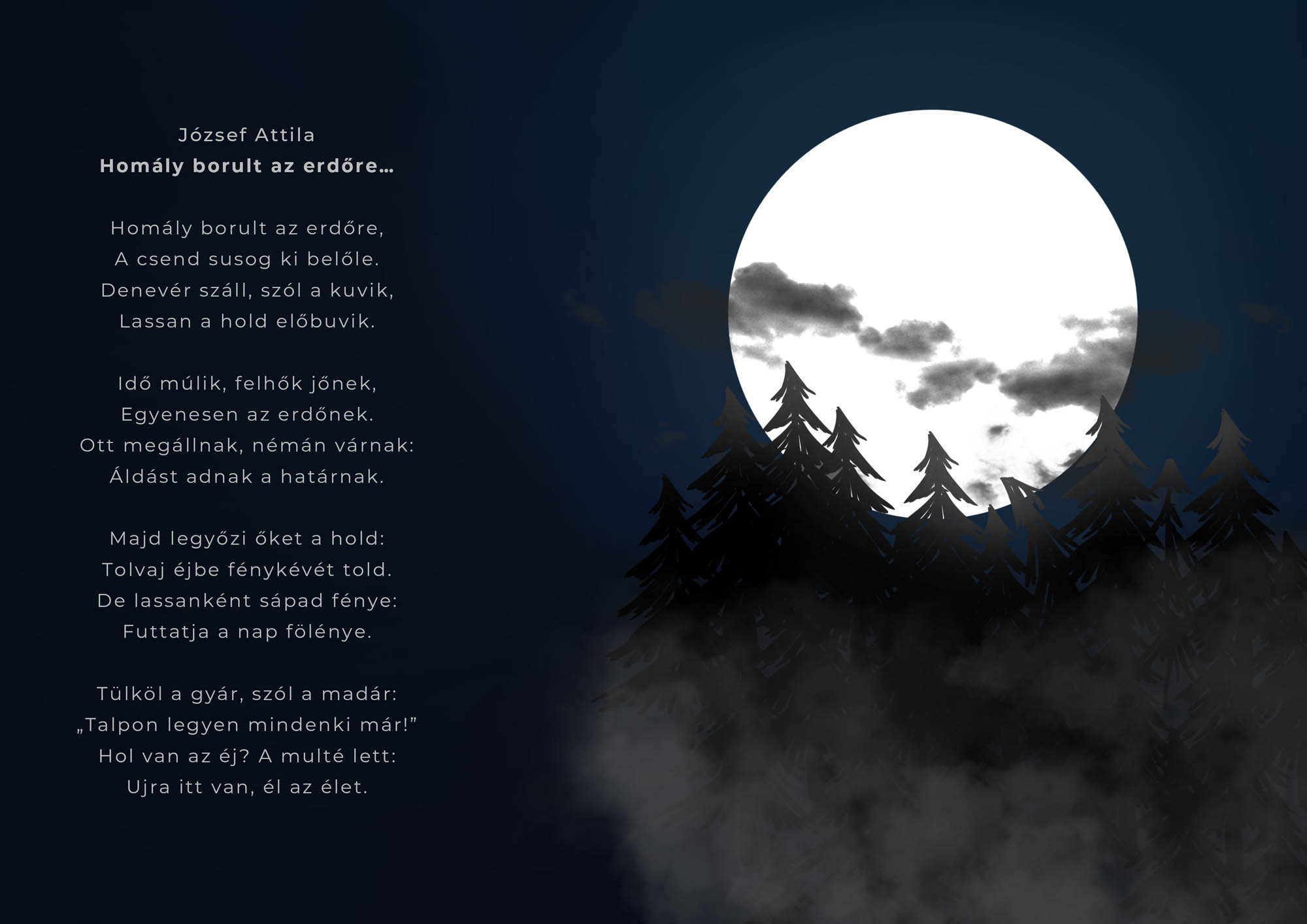 Gombkötő Nikolett  grafikus képzés végén leadott portfólió 