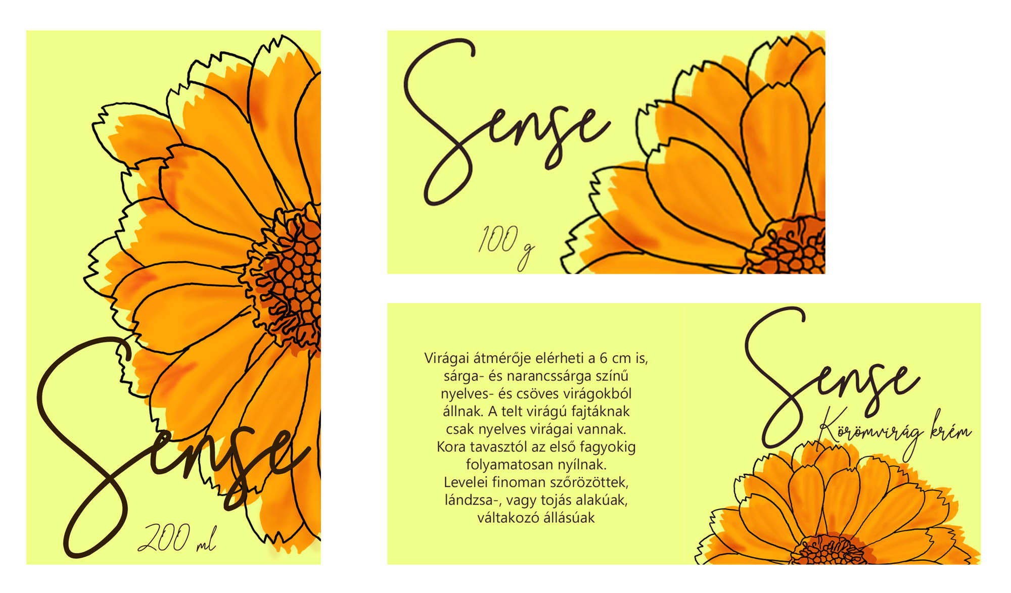 Gombkötő Nikolett  grafikus képzés végén leadott portfólió 