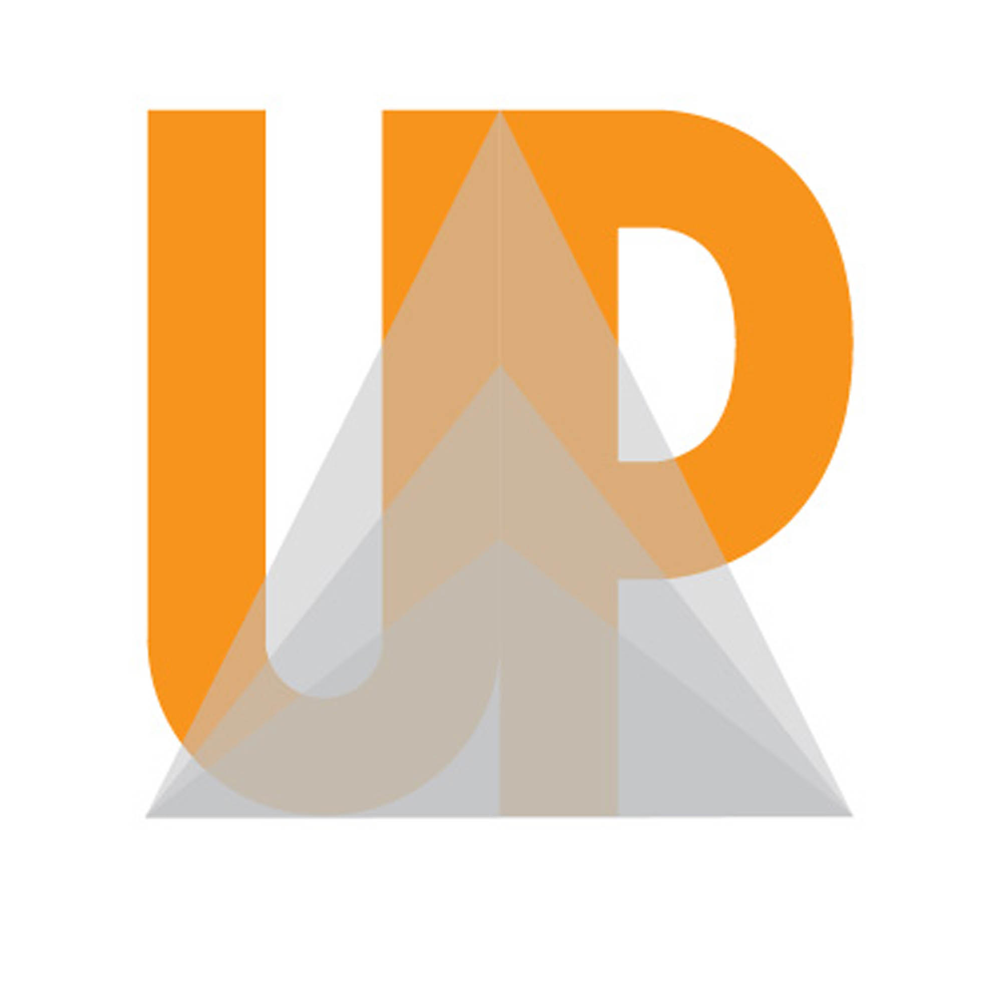 Gombkötő Nikolett  grafikus képzés végén leadott portfólió 