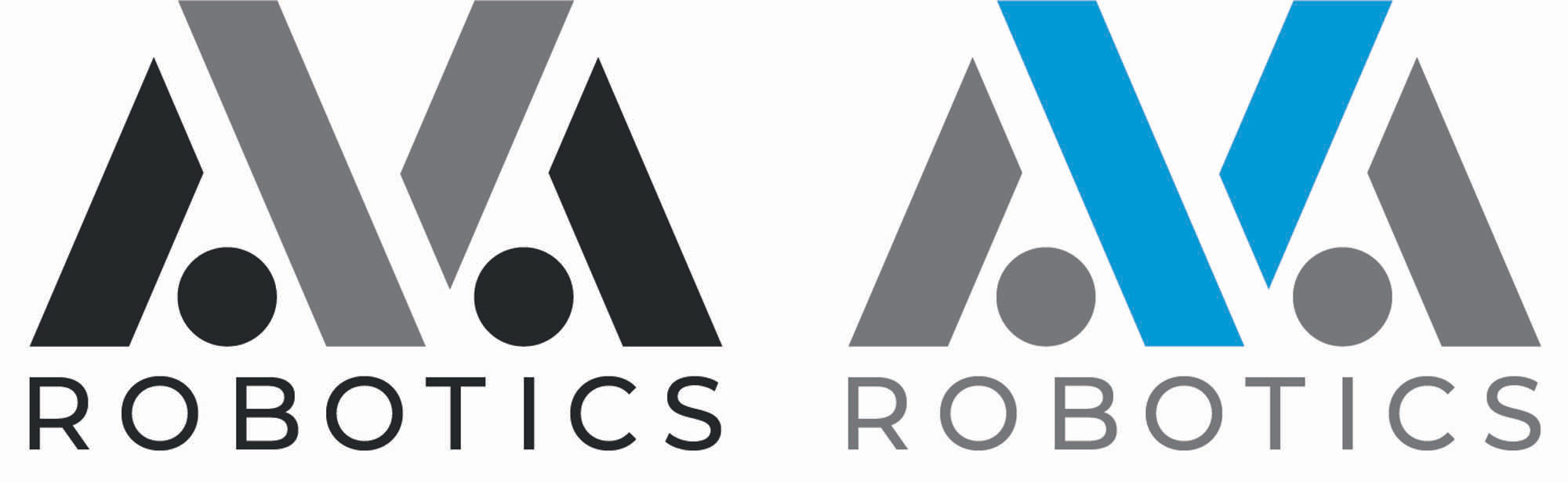 Gombkötő Nikolett  grafikus képzés végén leadott vizsgaremek 