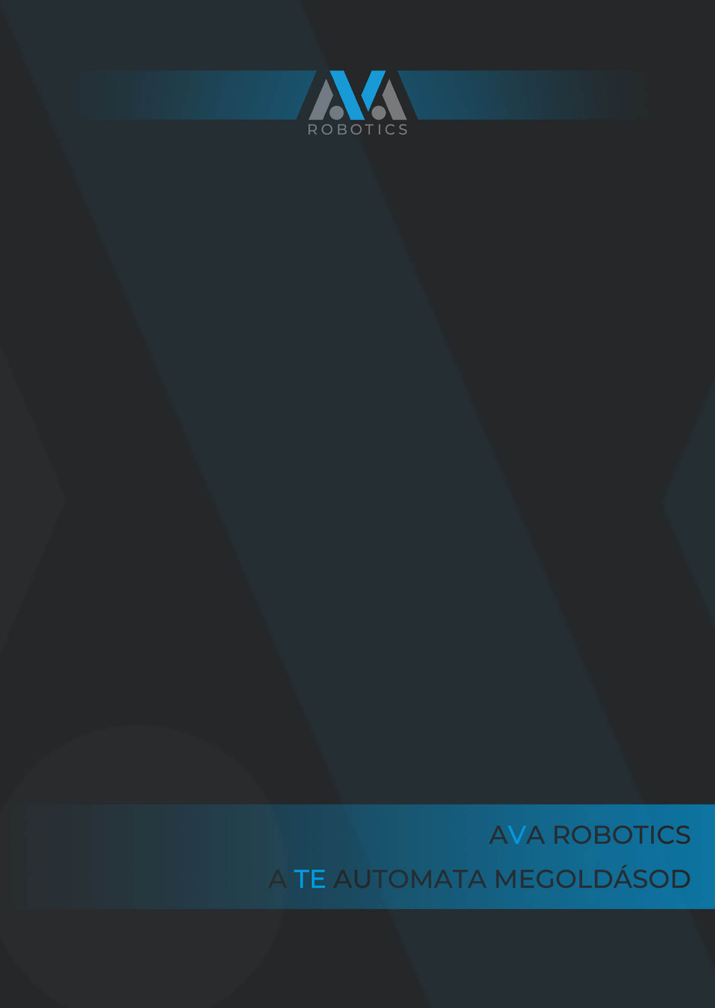 Gombkötő Nikolett  grafikus képzés végén leadott vizsgaremek 