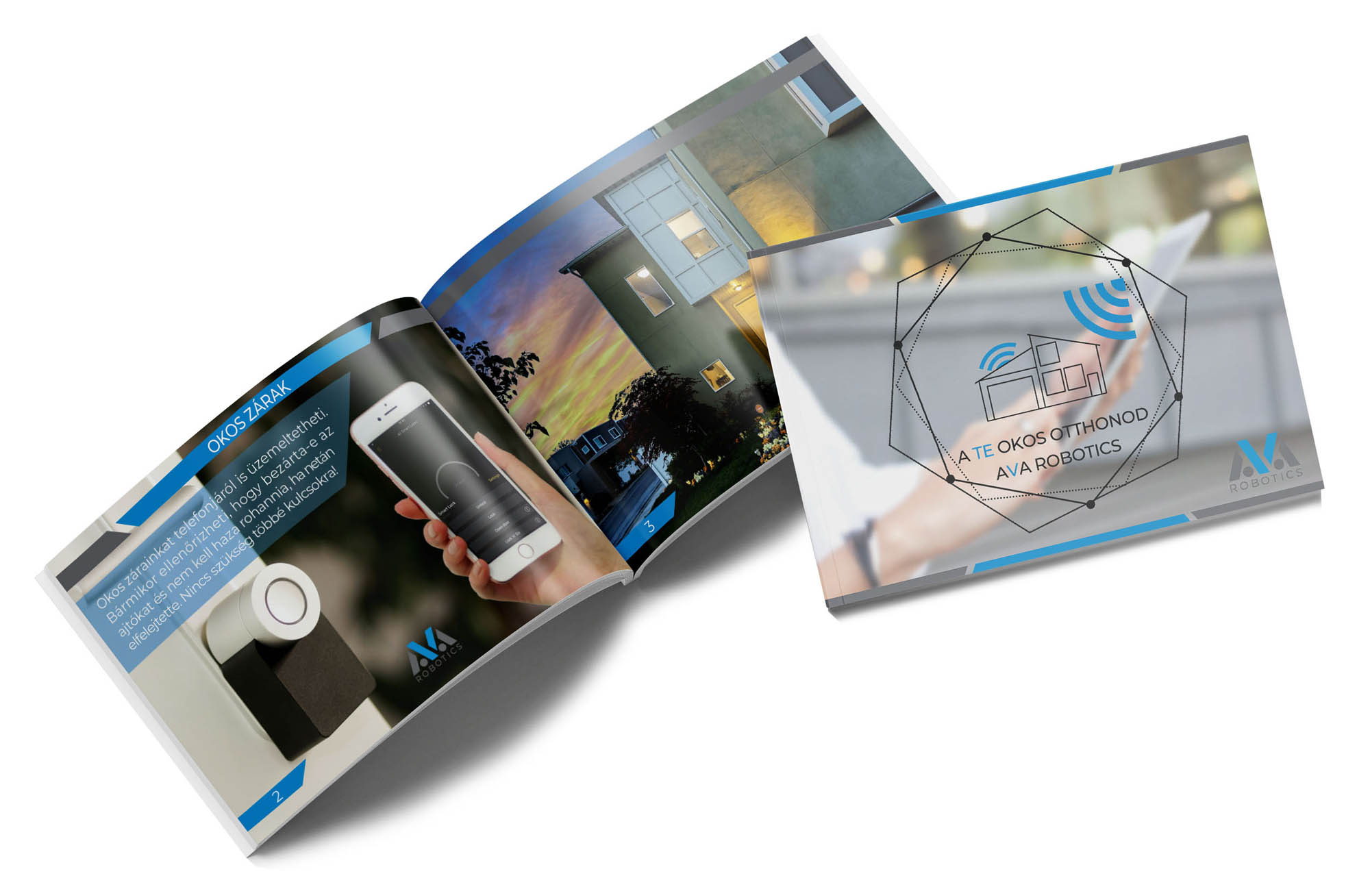 Gombkötő Nikolett  grafikus képzés végén leadott vizsgaremek 