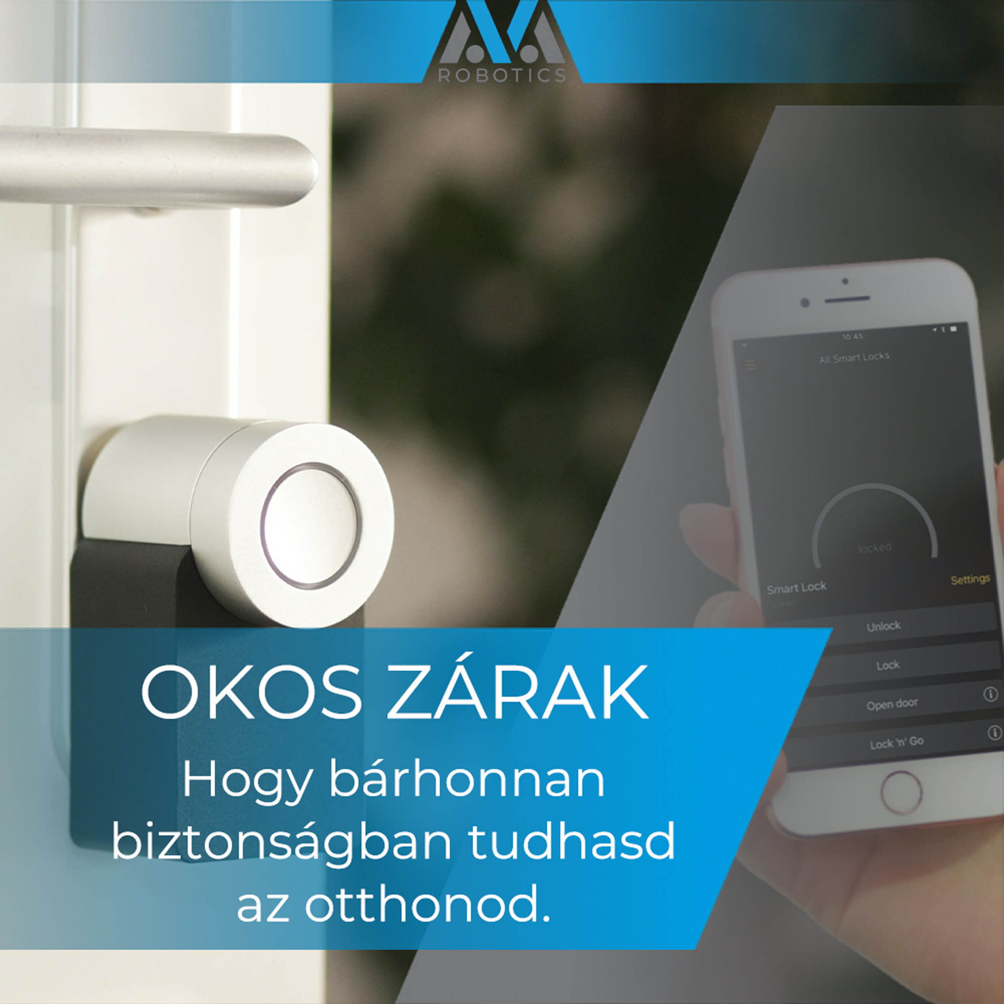 Gombkötő Nikolett  grafikus képzés végén leadott vizsgaremek 