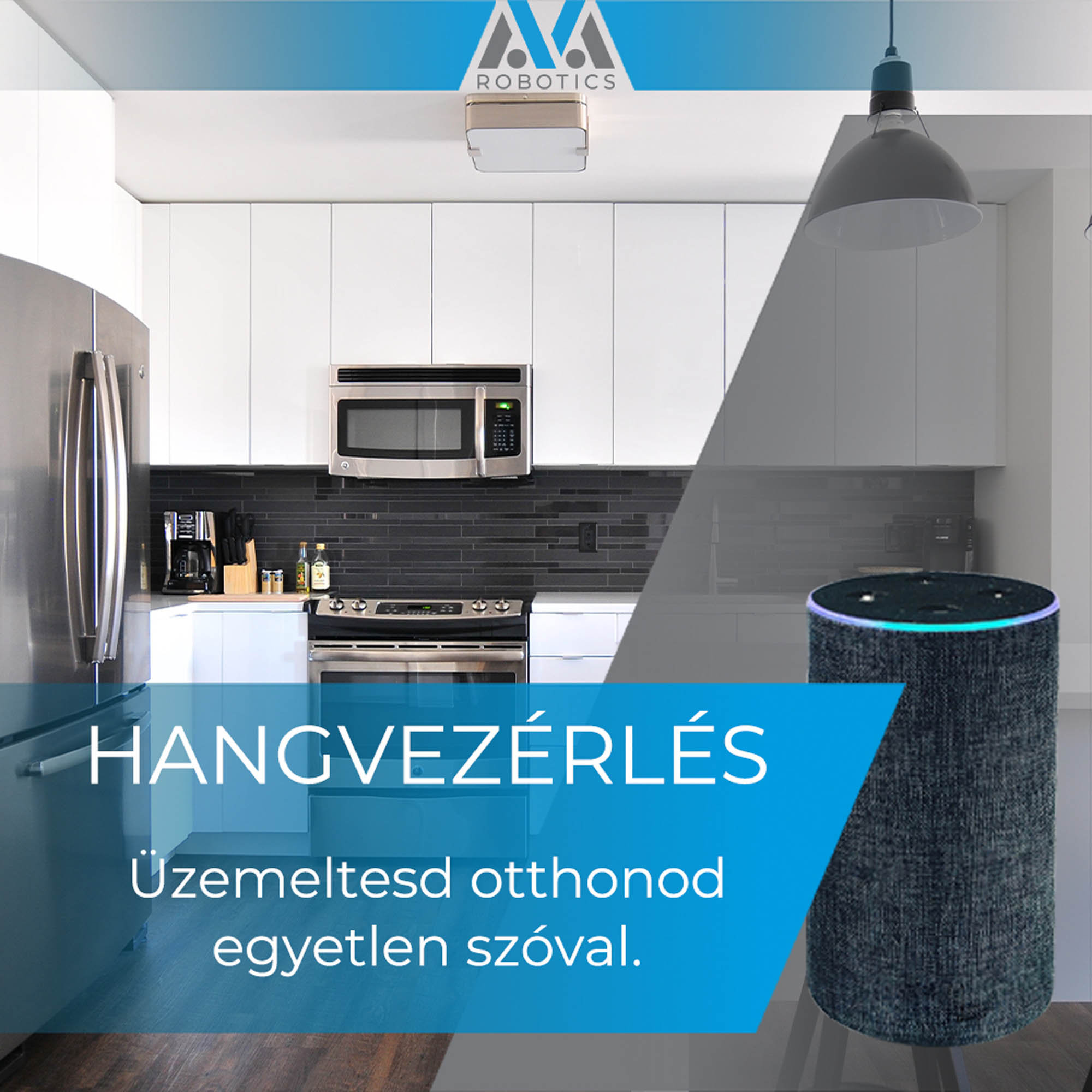 Gombkötő Nikolett  grafikus képzés végén leadott vizsgaremek 