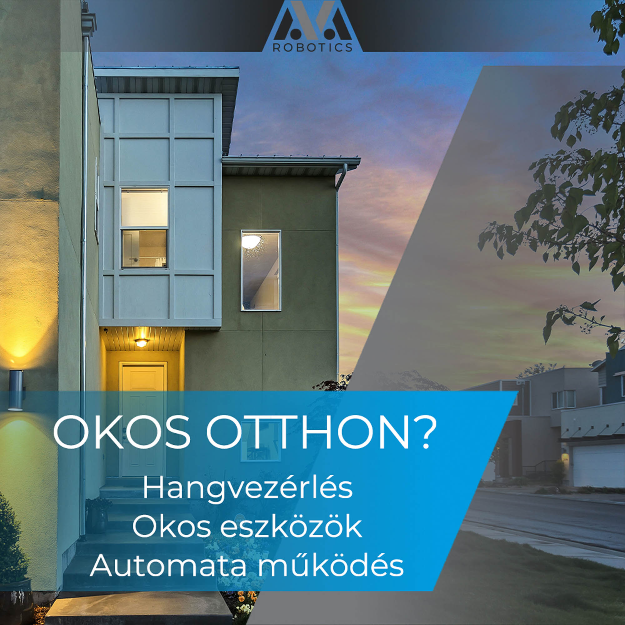 Gombkötő Nikolett  grafikus képzés végén leadott vizsgaremek 