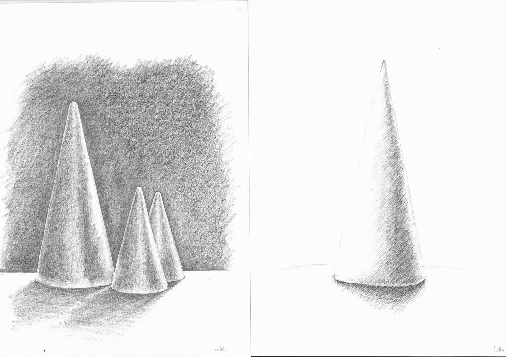 Szilágyi Lilla Krisztina  grafikus képzés végén leadott portfólió 