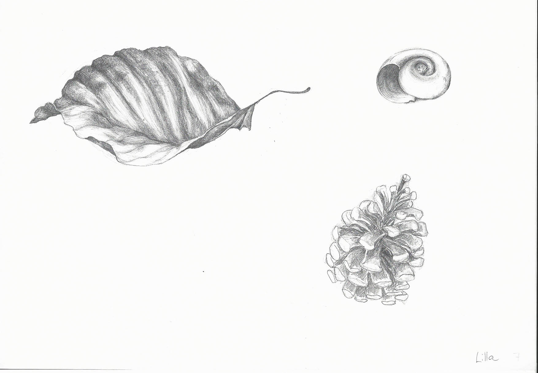 Szilágyi Lilla Krisztina  grafikus képzés végén leadott portfólió 