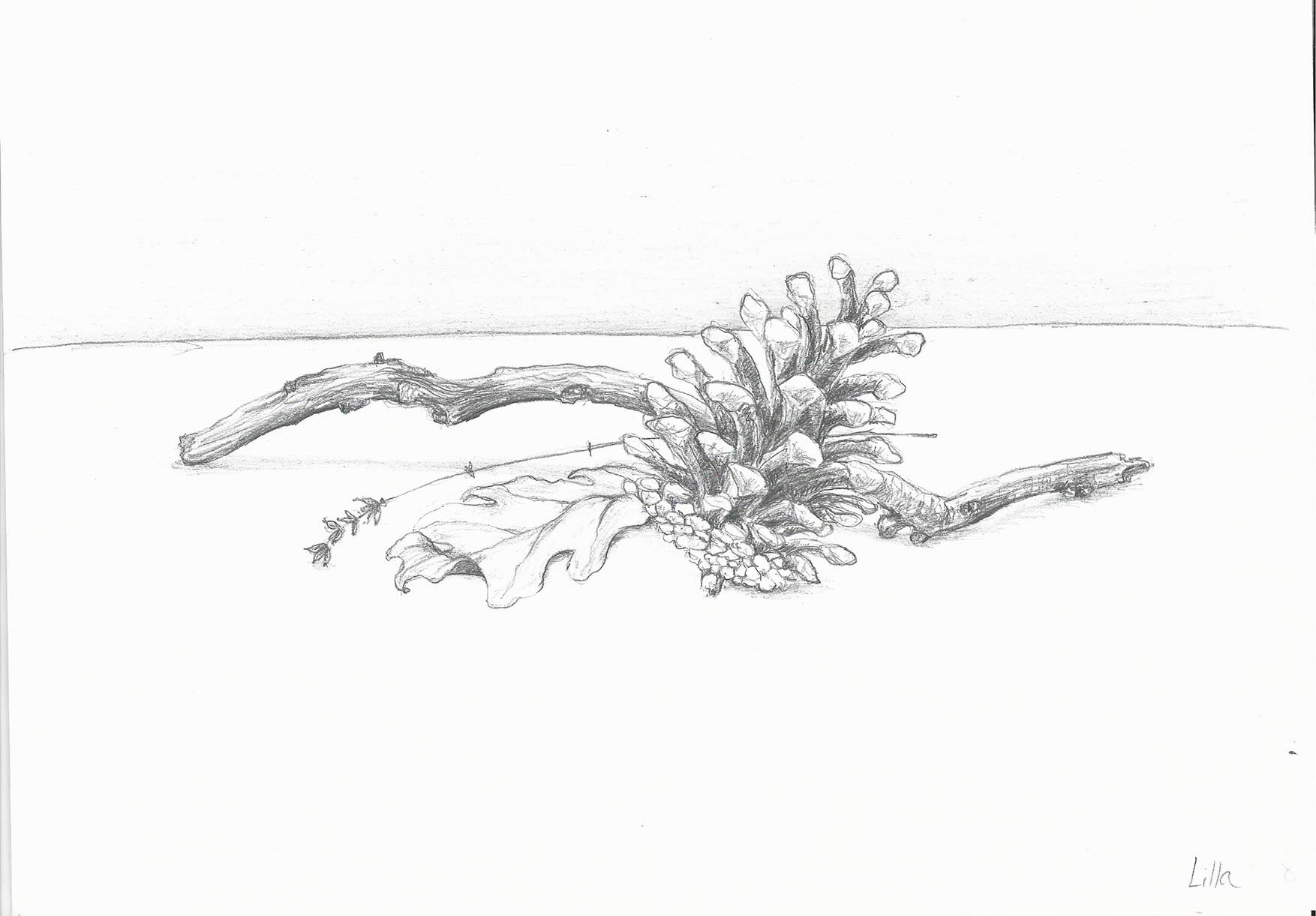 Szilágyi Lilla Krisztina  grafikus képzés végén leadott portfólió 