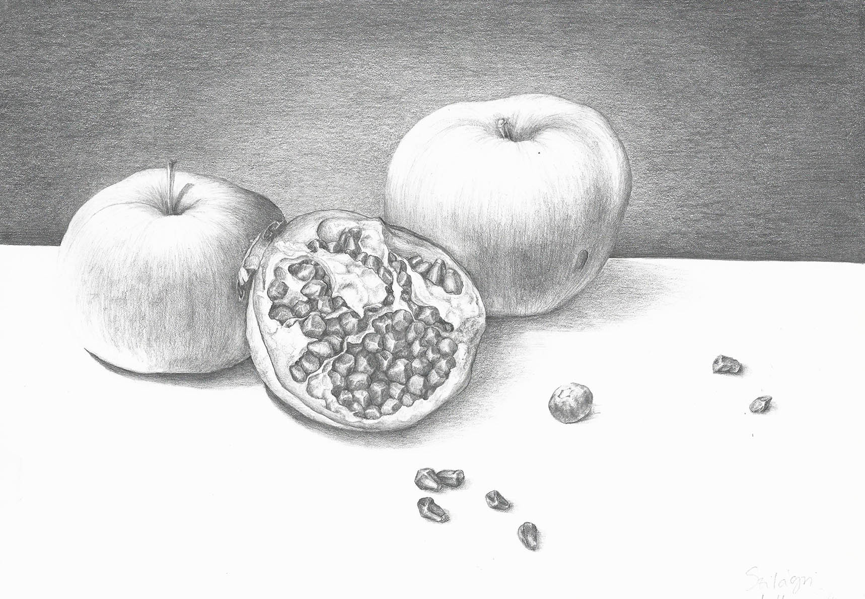 Szilágyi Lilla Krisztina  grafikus képzés végén leadott portfólió 