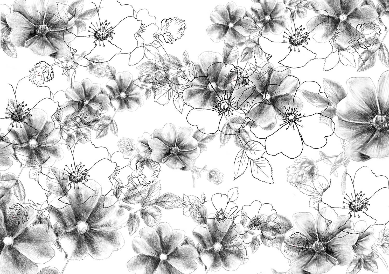 Szilágyi Lilla Krisztina  grafikus képzés végén leadott portfólió 