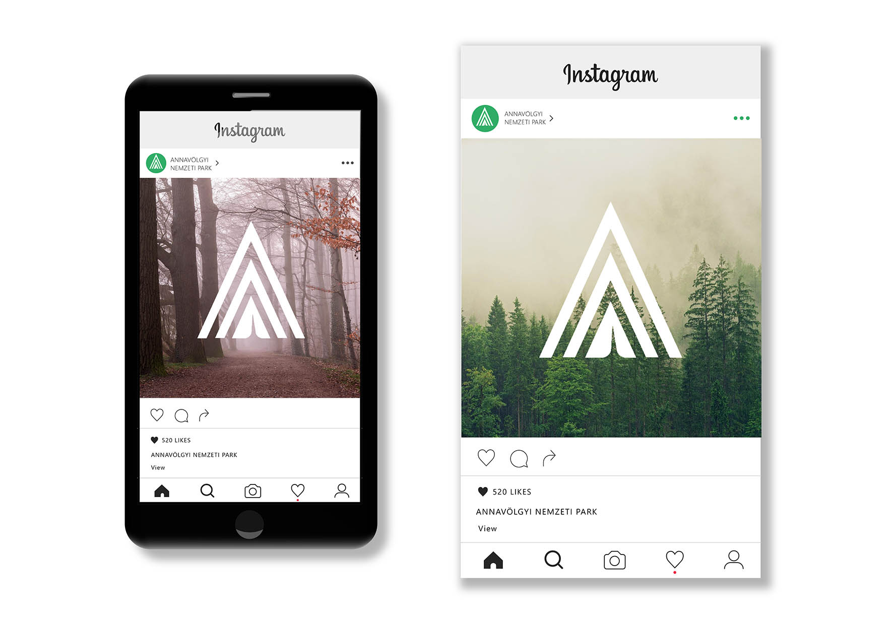 Szilágyi Lilla Krisztina  grafikus képzés végén leadott portfólió 