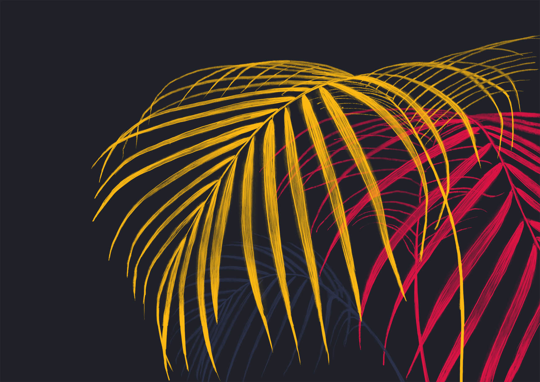 Szilágyi Lilla Krisztina  grafikus képzés végén leadott portfólió 