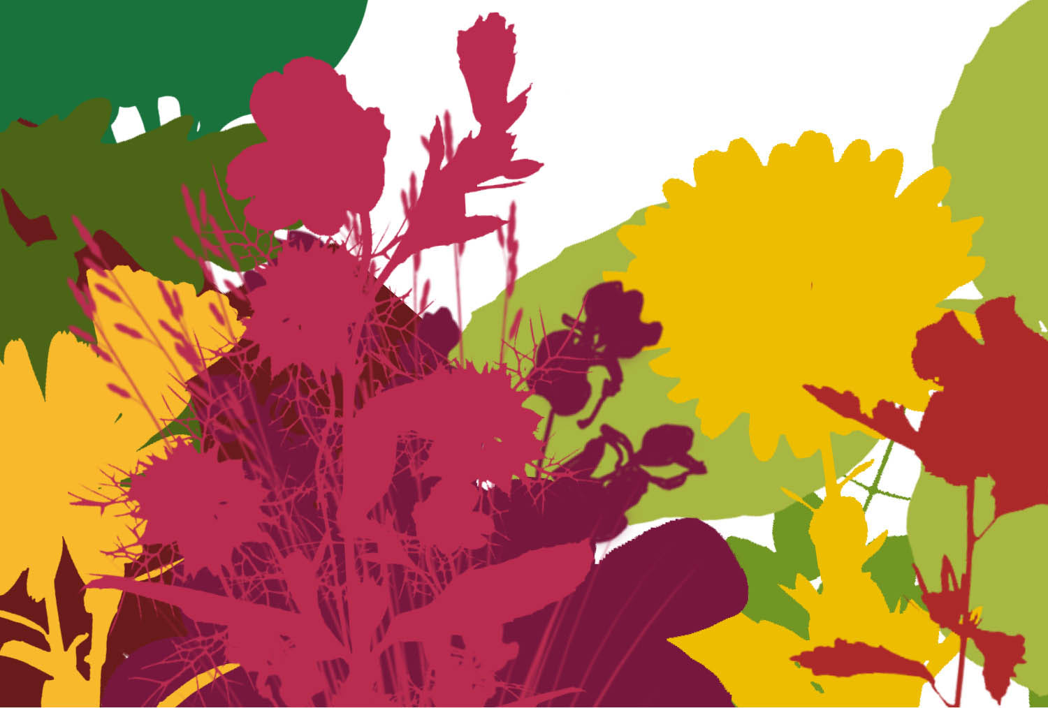 Szilágyi Lilla Krisztina  grafikus képzés végén leadott portfólió 