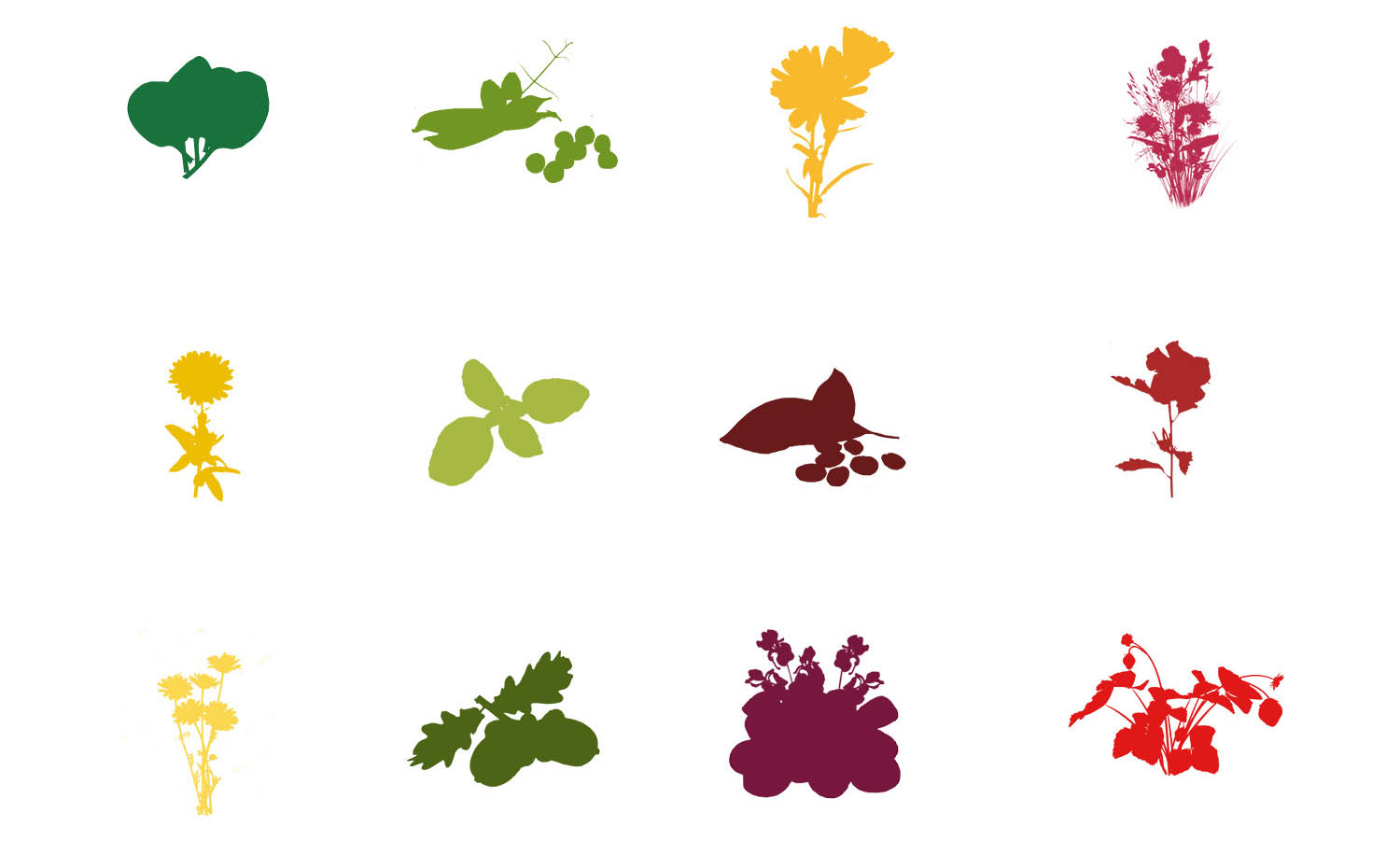 Szilágyi Lilla Krisztina  grafikus képzés végén leadott portfólió 