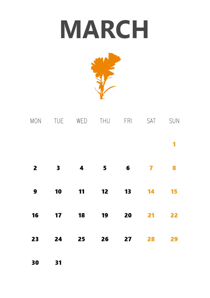 Szilágyi Lilla Krisztina  grafikus képzés végén leadott portfólió 