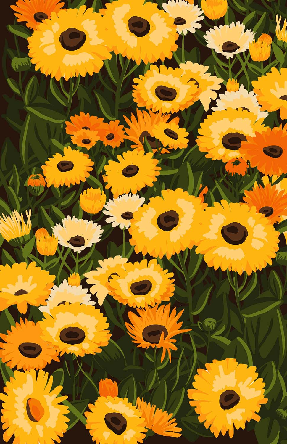 Szilágyi Lilla Krisztina  grafikus képzés végén leadott portfólió 