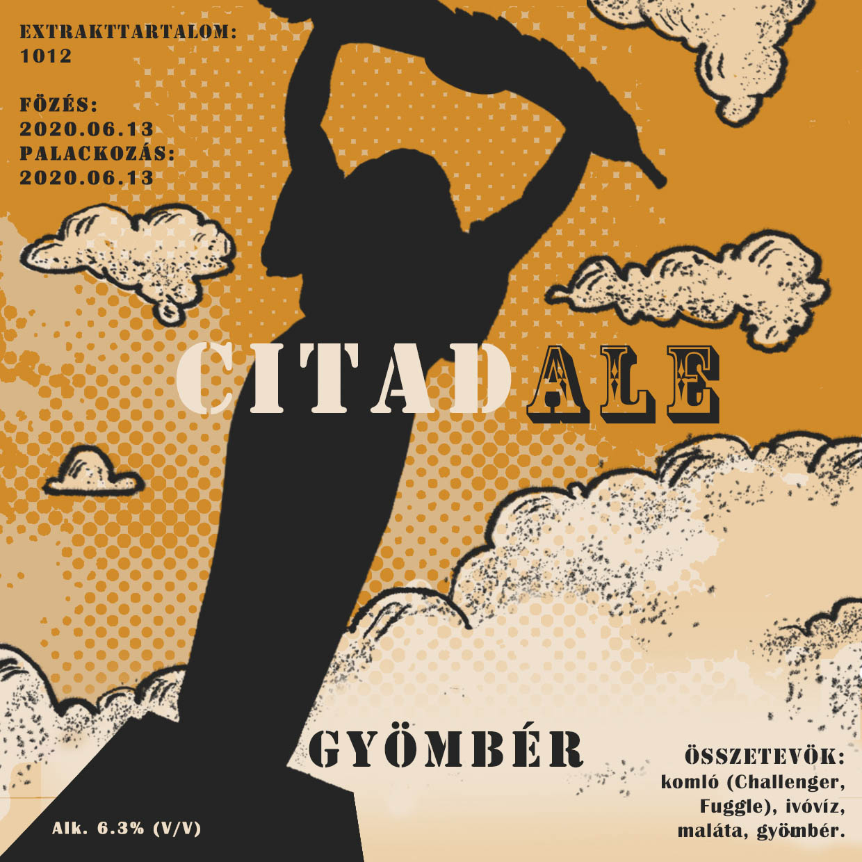 Szilágyi Lilla Krisztina  grafikus képzés végén leadott portfólió 