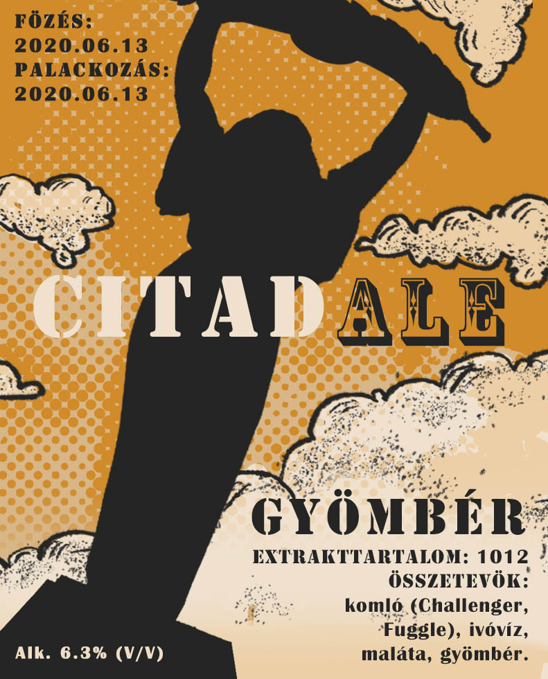 Szilágyi Lilla Krisztina  grafikus képzés végén leadott portfólió 