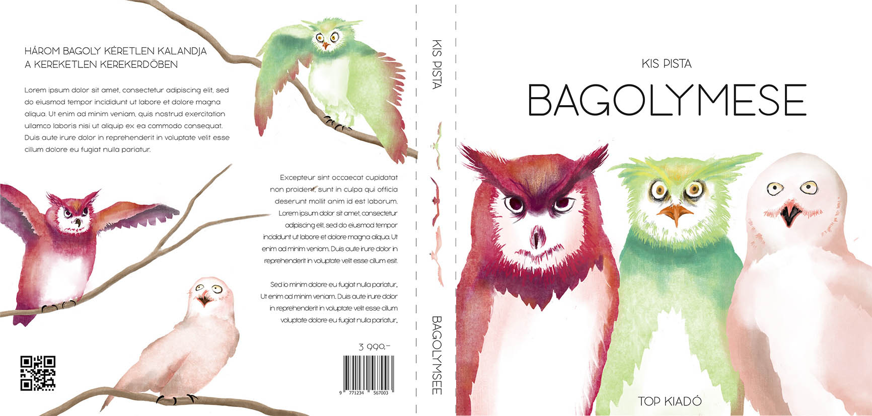 Szilágyi Lilla Krisztina  grafikus képzés végén leadott portfólió 