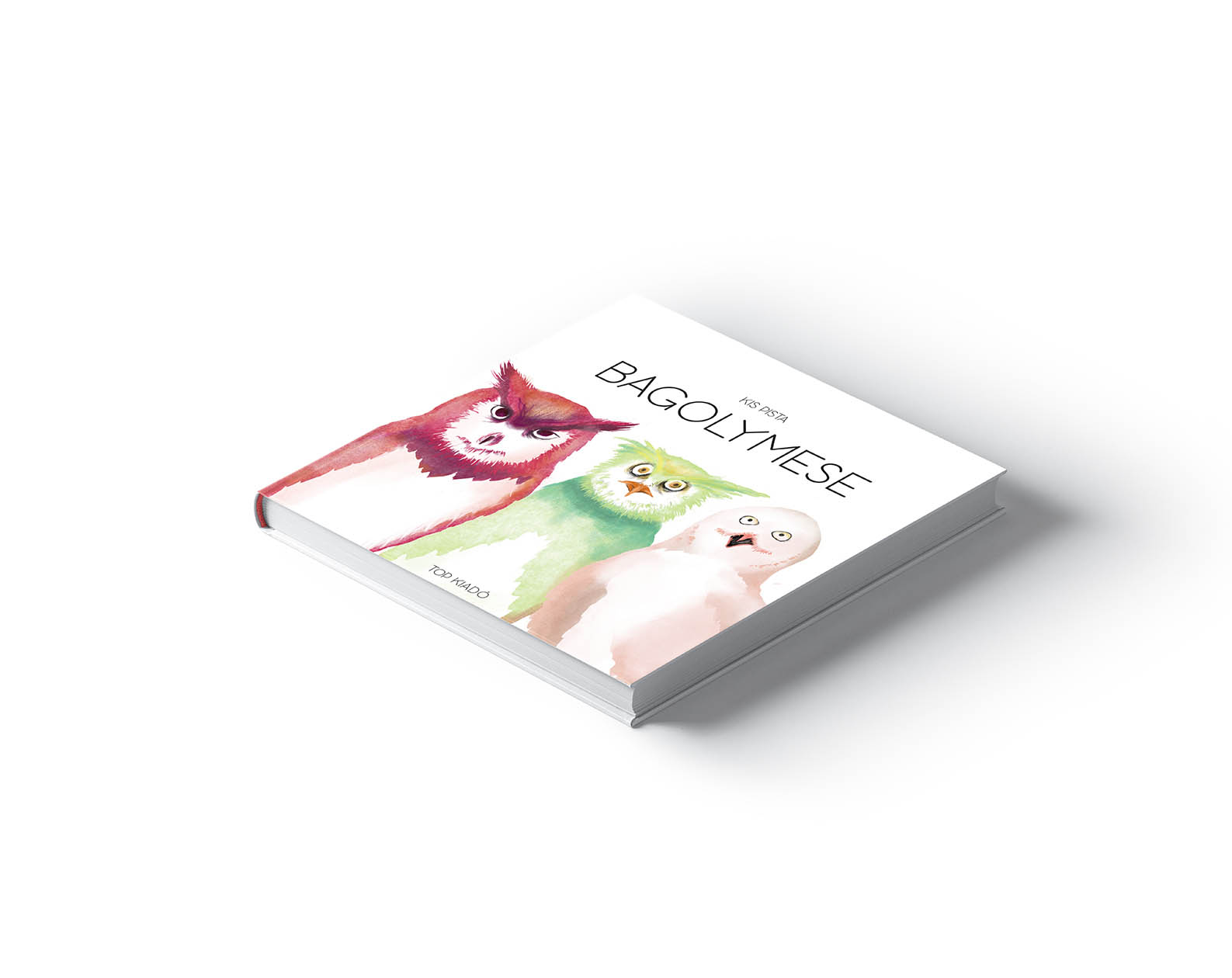 Szilágyi Lilla Krisztina  grafikus képzés végén leadott portfólió 