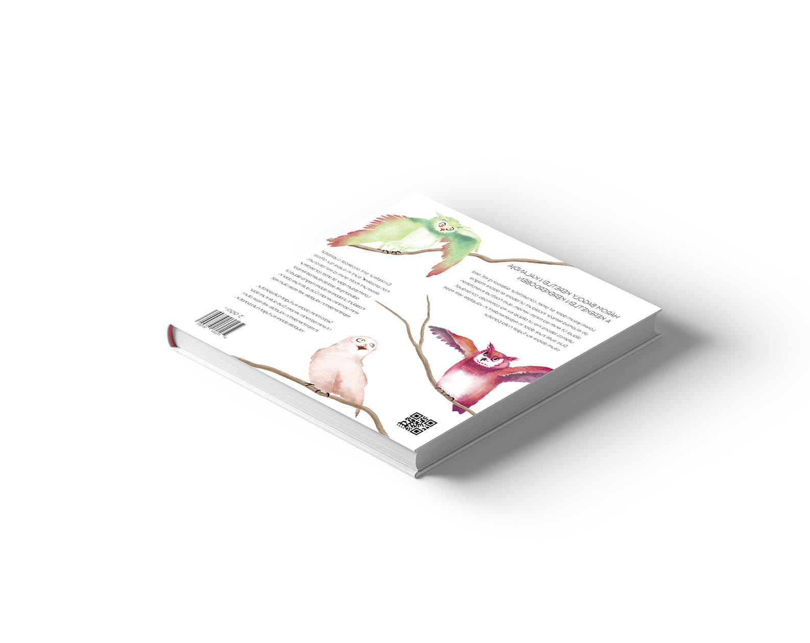 Szilágyi Lilla Krisztina  grafikus képzés végén leadott portfólió 