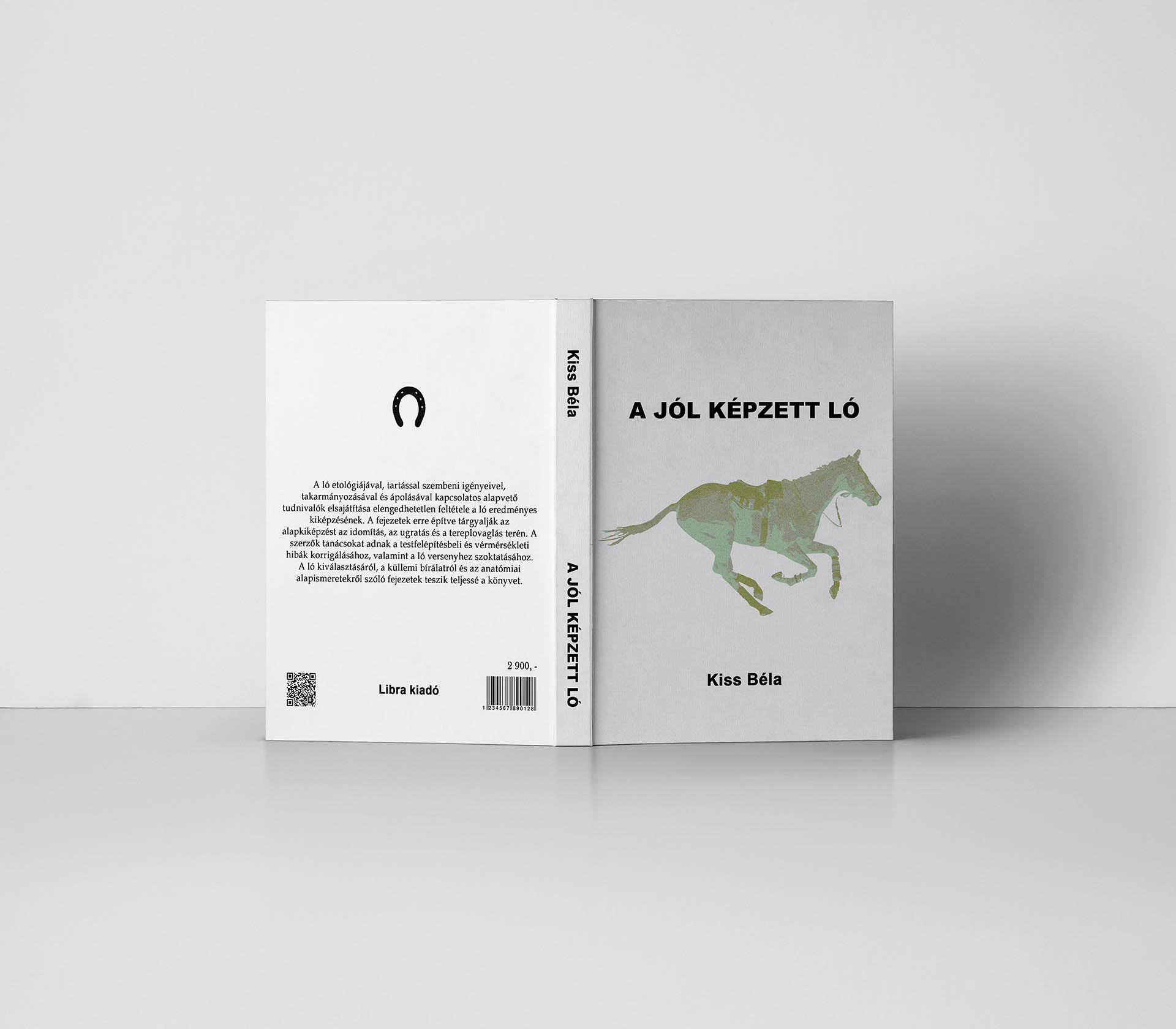 Szilágyi Lilla Krisztina  grafikus képzés végén leadott portfólió 