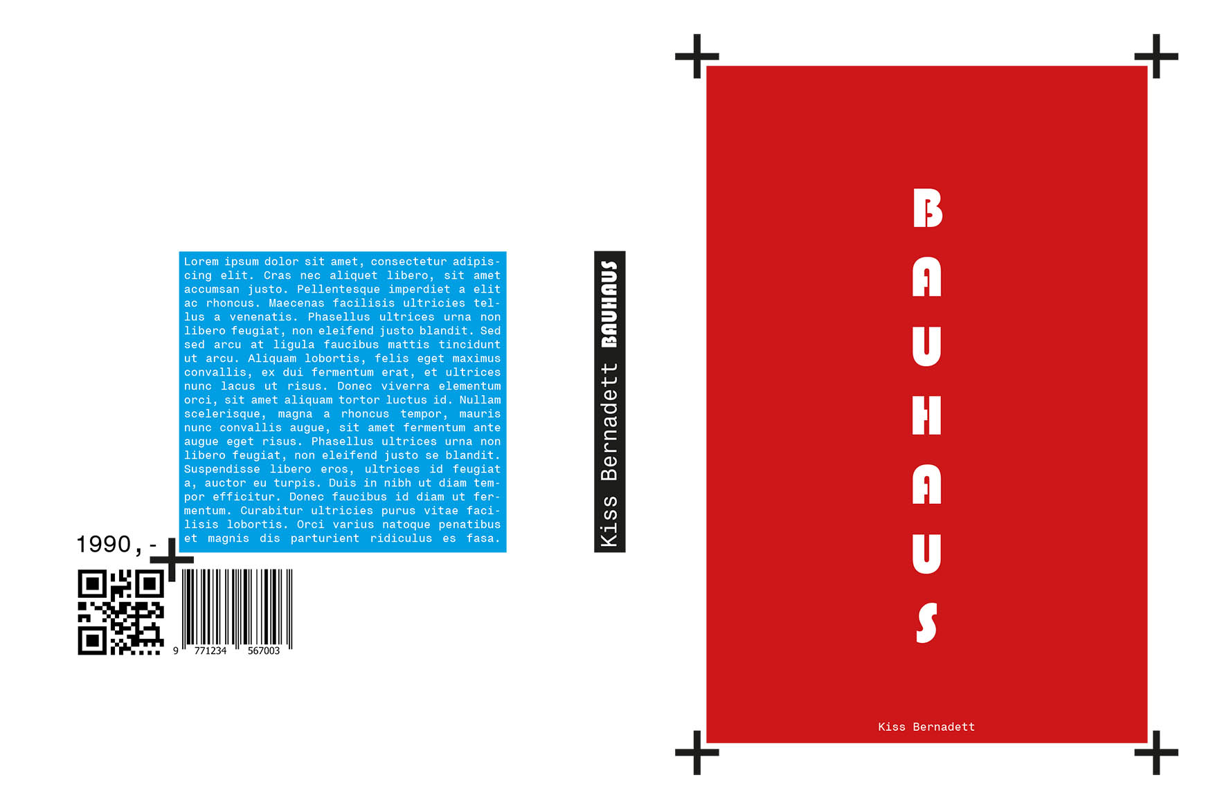 Szilágyi Lilla Krisztina  grafikus képzés végén leadott portfólió 