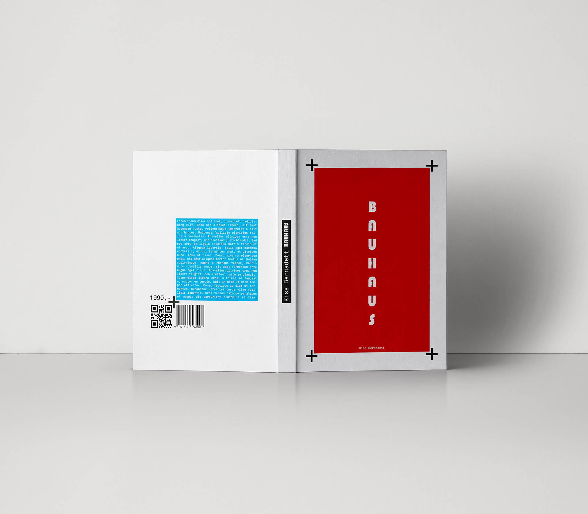 Szilágyi Lilla Krisztina  grafikus képzés végén leadott portfólió 