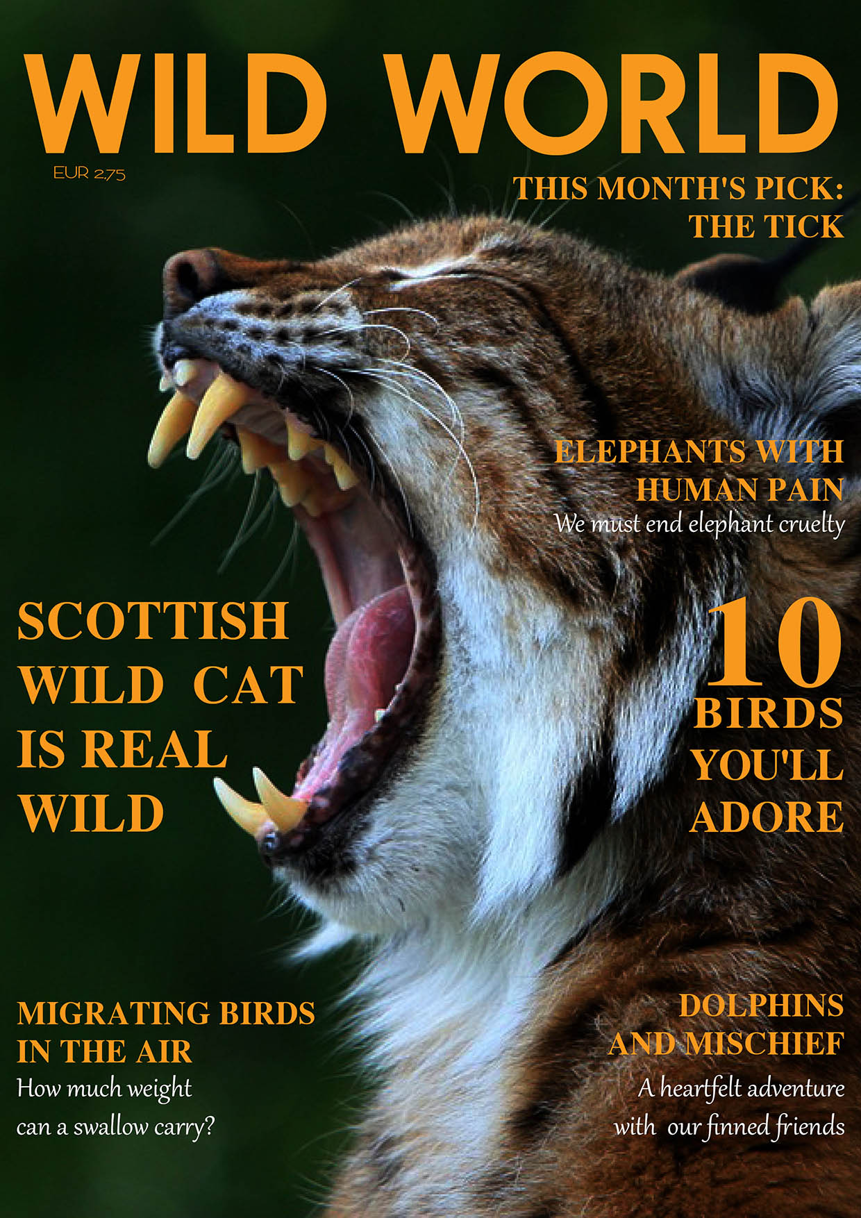 Szilágyi Lilla Krisztina  grafikus képzés végén leadott portfólió 