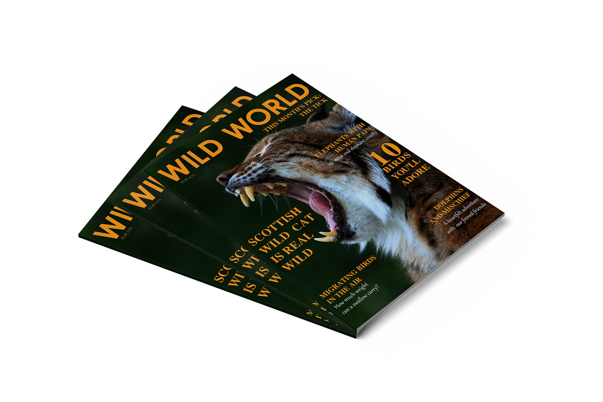 Szilágyi Lilla Krisztina  grafikus képzés végén leadott portfólió 