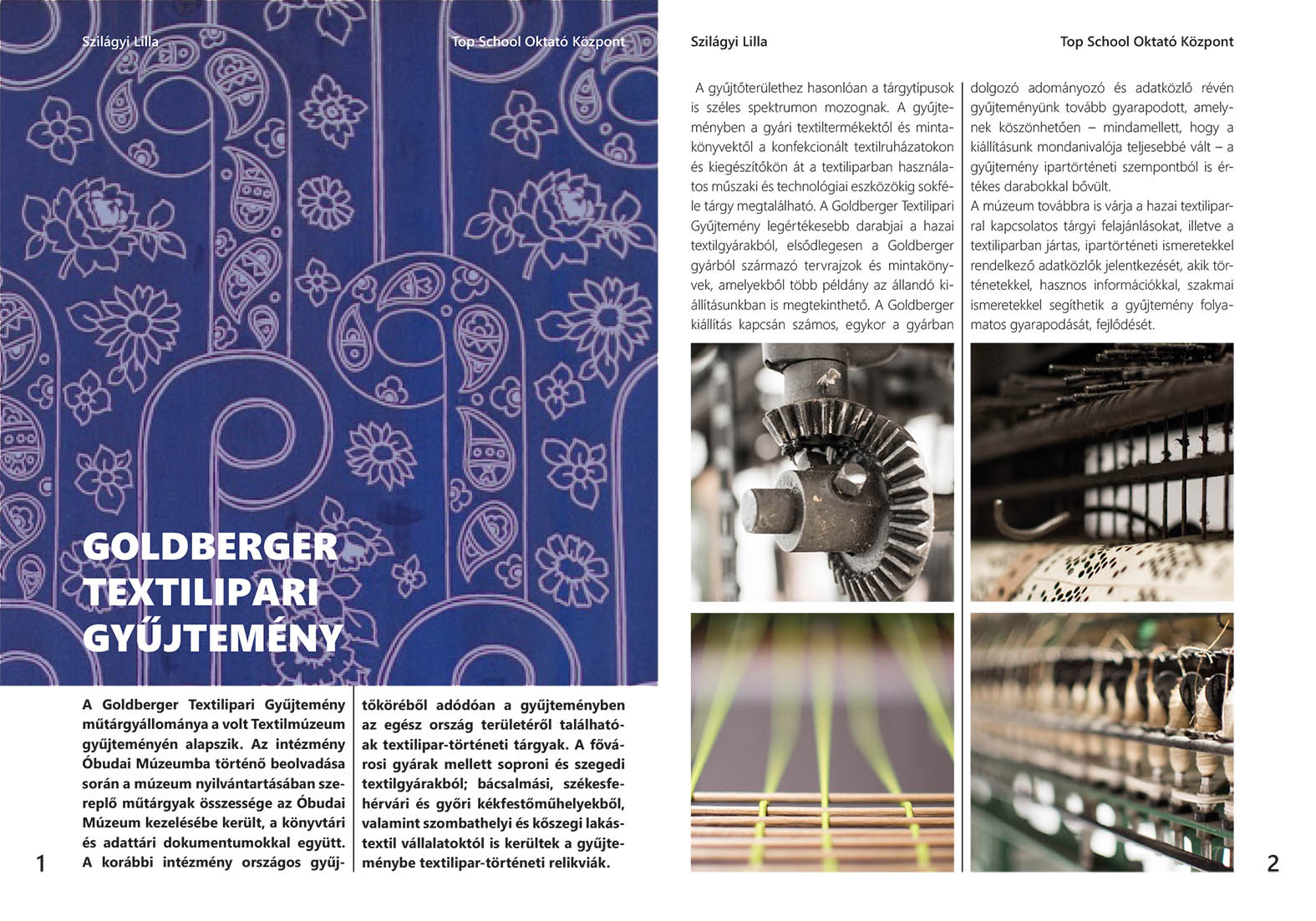 Szilágyi Lilla Krisztina  grafikus képzés végén leadott portfólió 