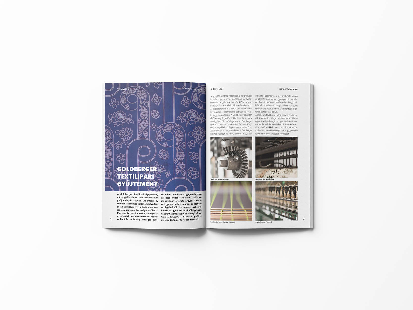 Szilágyi Lilla Krisztina  grafikus képzés végén leadott portfólió 