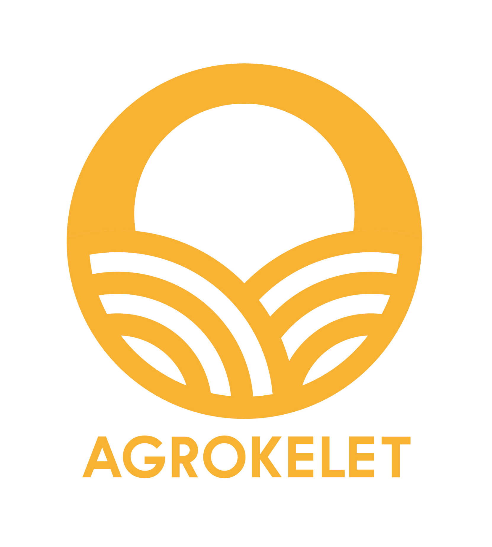 Szilágyi Lilla Krisztina  grafikus képzés végén leadott portfólió 