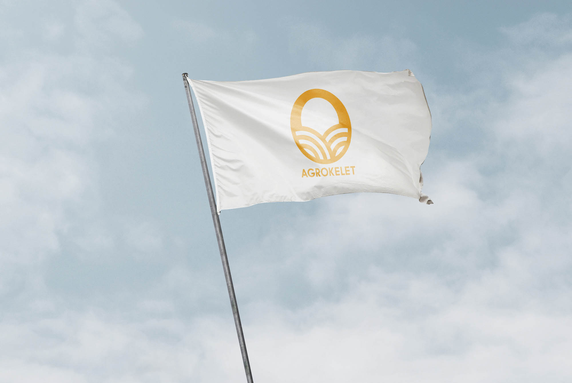 Szilágyi Lilla Krisztina  grafikus képzés végén leadott portfólió 