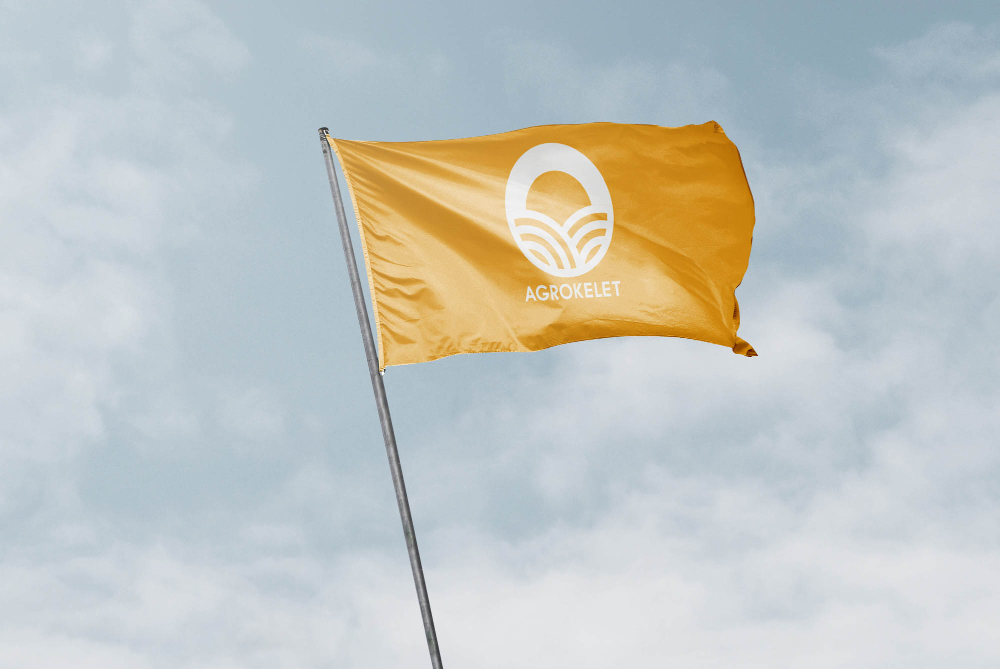 Szilágyi Lilla Krisztina  grafikus képzés végén leadott portfólió 