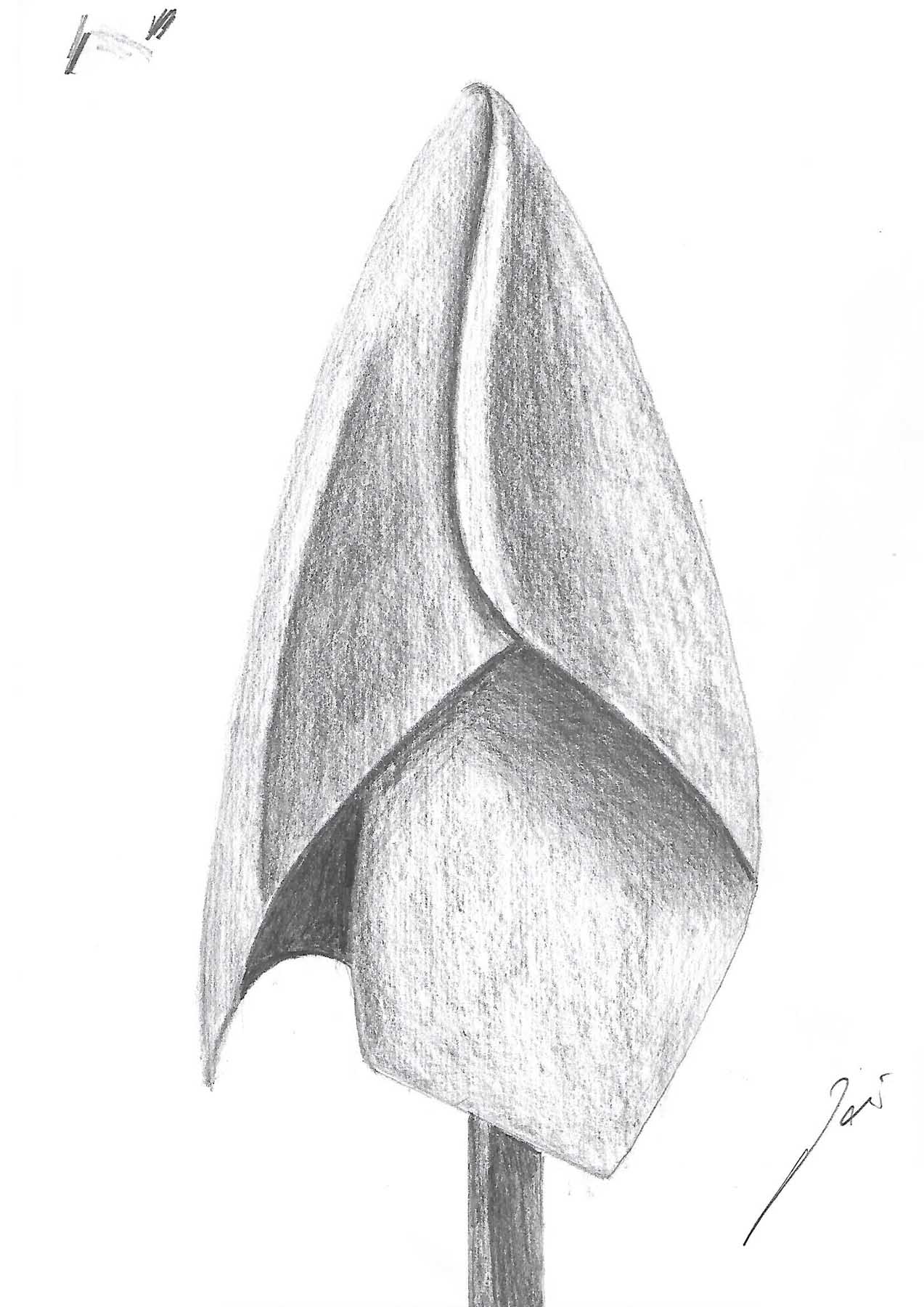 Sastinszky Dániel  grafikus képzés végén leadott portfólió 