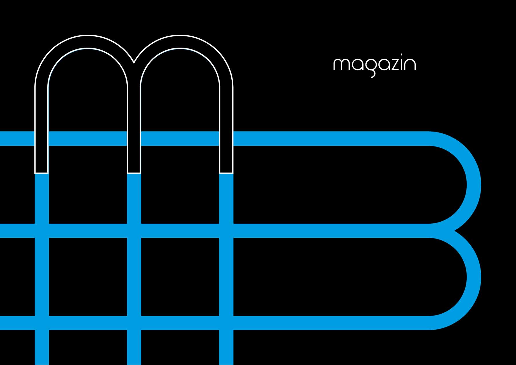 Sastinszky Dániel  grafikus képzés végén leadott portfólió 