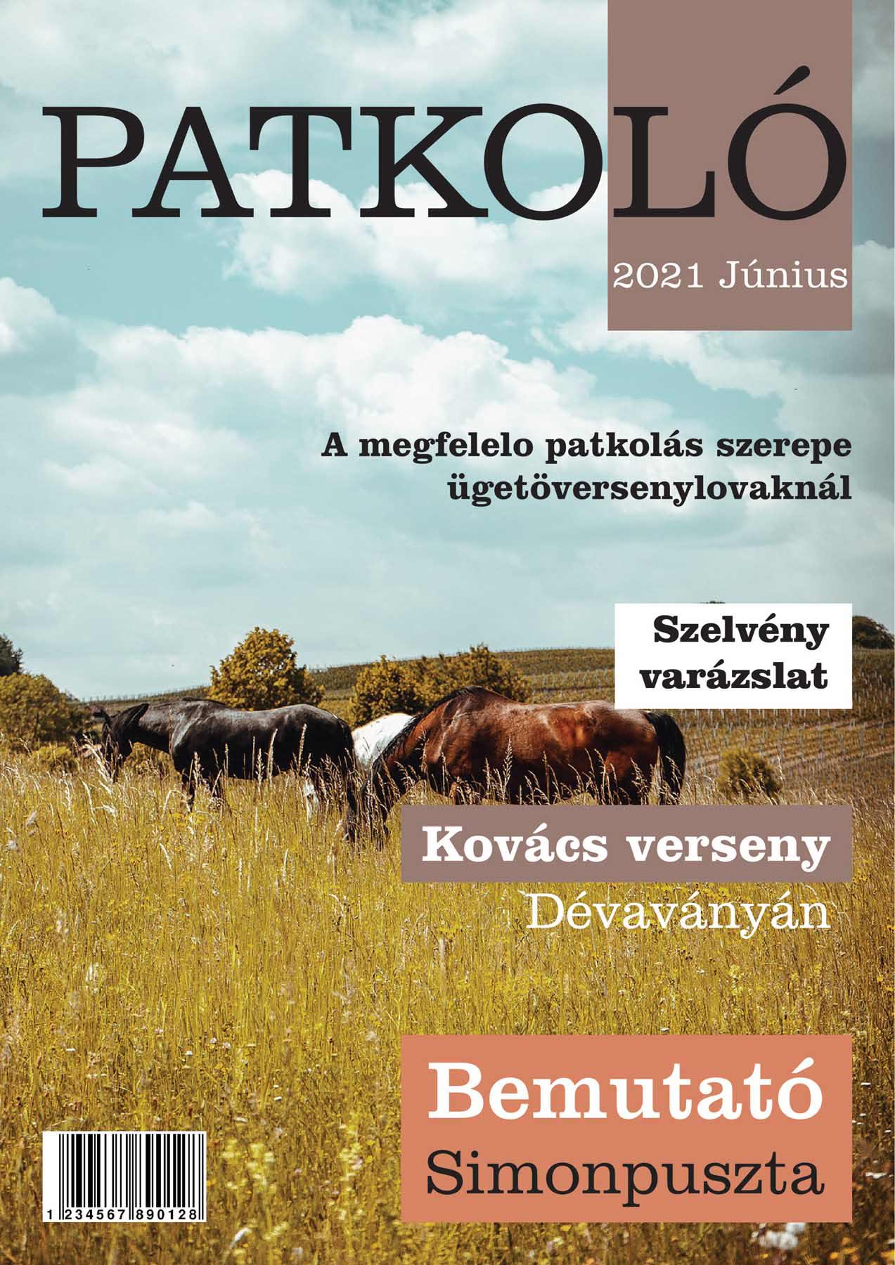 Sastinszky Dániel  grafikus képzés végén leadott portfólió 