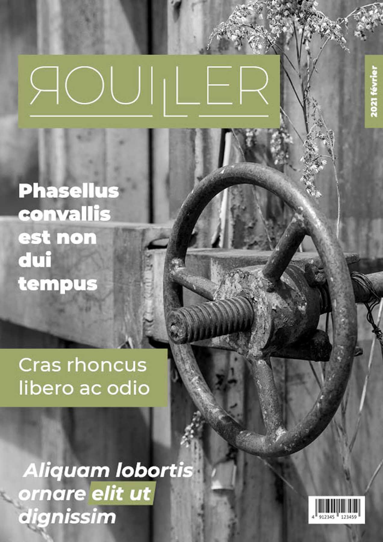 Sastinszky Dániel  grafikus képzés végén leadott portfólió 