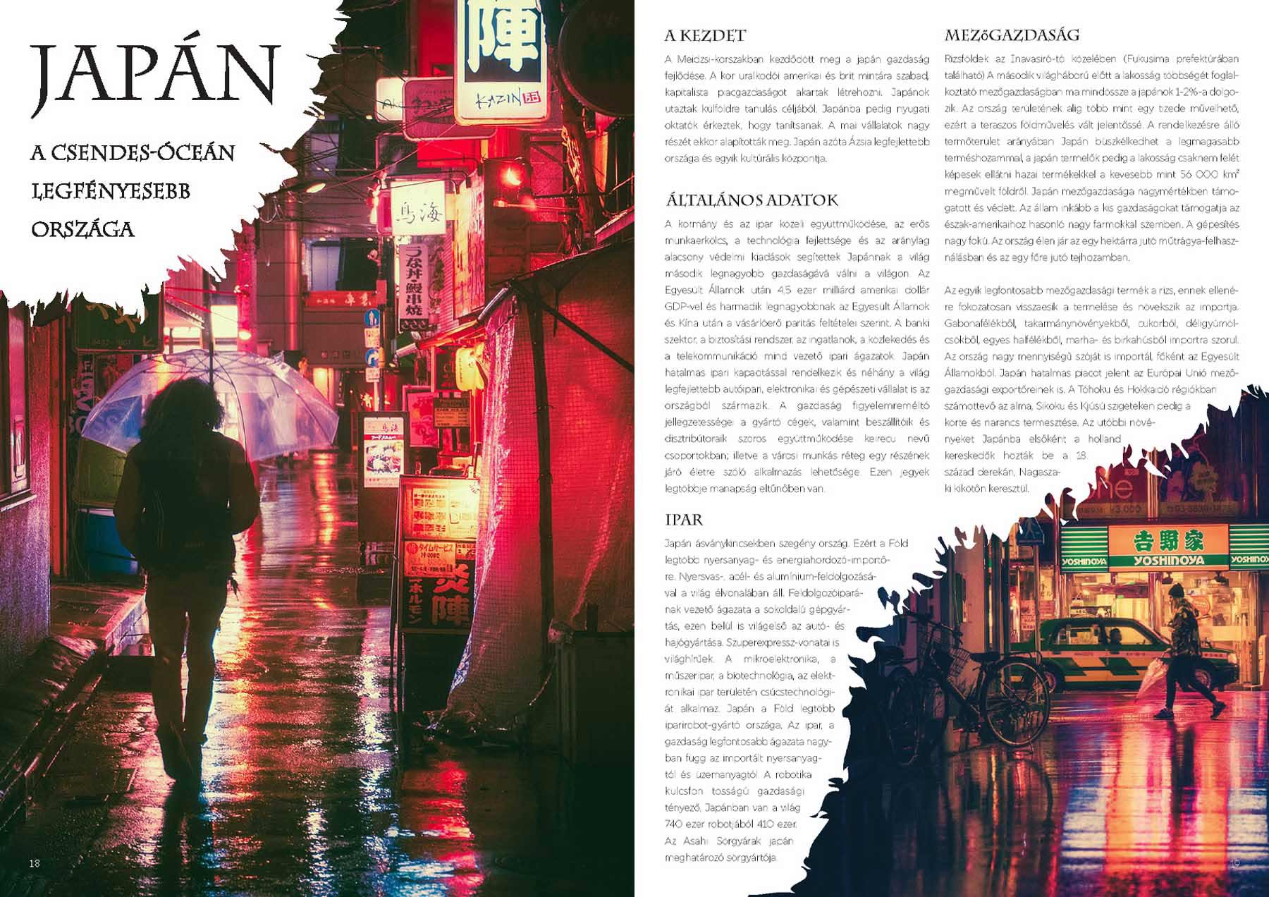 Sastinszky Dániel  grafikus képzés végén leadott portfólió 